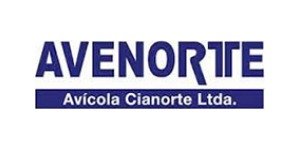 Avenorte